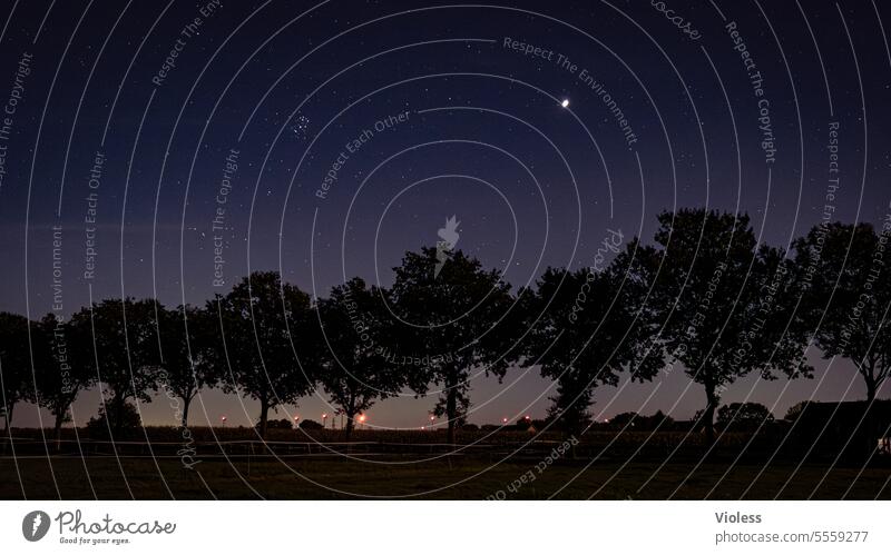 neue Heimat - Zeteler Marsch Nacht Sterne Silhouette Bäume Plejaden Jupiter Sternenhimmel Niedersachsen Dunkel