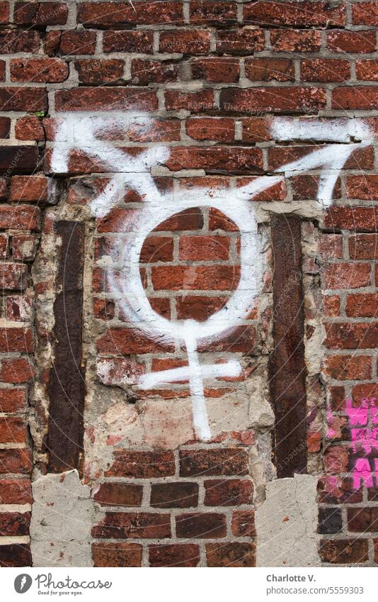 Weites Land | Transgender-Graffiti an einer Ziegelwand Zeichen Transgender-Zeichen Wand Toleranz Freiheit Vielfalt Gleichstellung Symbole & Metaphern lgbtq