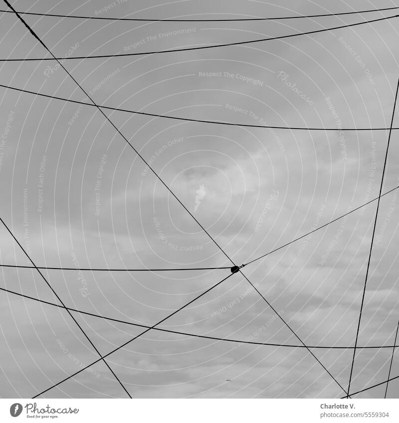 Weites Land | Abstrakt verknüpfte Stahlseile vor Himmel - Schwarzweißfoto Verknüpfung Takelage Außenaufnahme Schifffahrt Verknüpfungen Muster