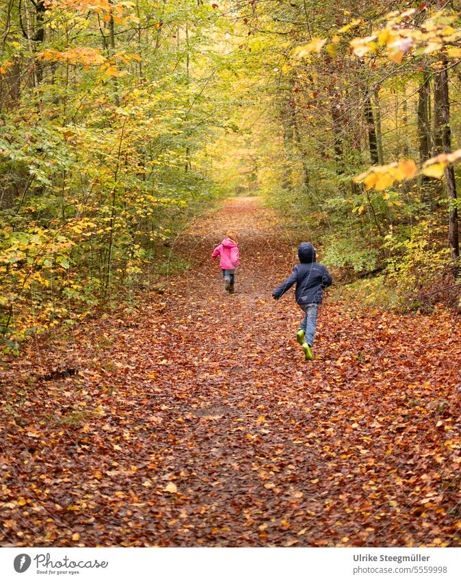 Kinder rennen im Herbstwald Natur lifestyle Wald freude bunte Blätter Goldener Herbst laufen Waldboden