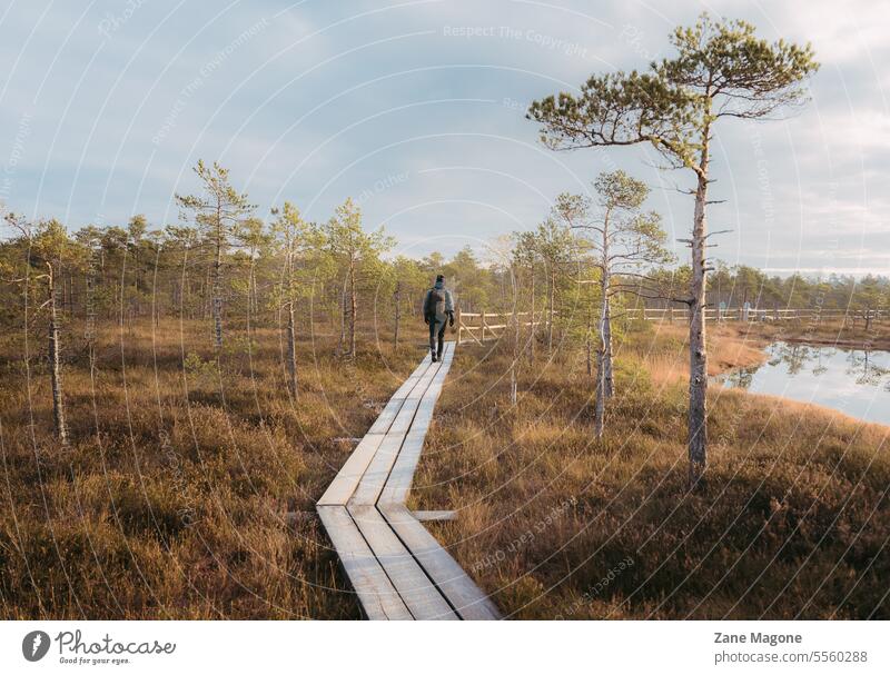 Mann geht auf der Promenade im Nationalpark im Freien wandern Wanderwege Lettland Training Nachlauf Tourismus reisen Natur Landschaft Moor