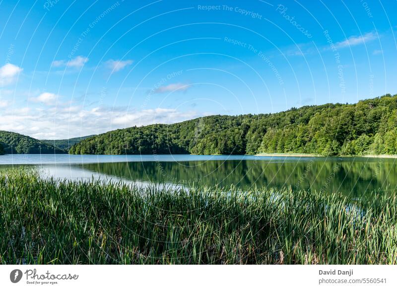 Nationalpark Plitvicer Seen Anziehungskraft Hintergrund schön Schönheit blau Kaskade Sauberkeit übersichtlich Küste Kroatien Umwelt Europa Wald grün wandern
