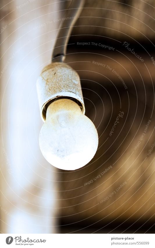 Dreckige leuchtende Glühbirne mit verschwommenem Hintergrund Lampe Holz Abenteuer Senior bizarr Endzeitstimmung innovativ Inspiration Kontrolle Kreativität