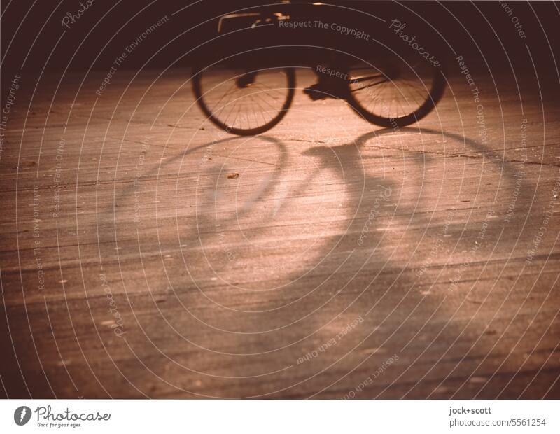bewusstseinserheiternd | Radfahren im Sonnenschein Fahrrad Fahrradfahren Verkehrsmittel Mobilität Wege & Pfade Bewegung unterwegs Silhouette Schatten