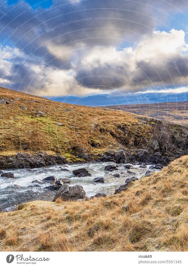 Landschaft mit Fluss im Osten von Island Insel Wasser Gras Weide Wiese Natur Felsen Stein Berg Herbst Himmel Wolken blau Idylle Urlaub Reise Reiseziel Erholung