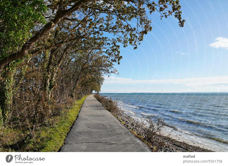 Nach der Flut / Wanderweg an der Ostseeküste bei sonnigem Wetter Meer Küste Wasser Himmel Ufer Weg Spaziergang blau grün grau Bäume Weite Wellen Horizont