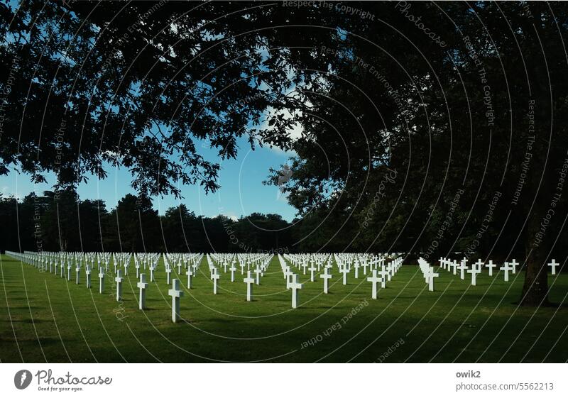 Jedes Kreuz ein Leben Gräberfeld historisch Friedhof Normandie Frankreich Omaha Beach Trauer Erinnerung D-Day erinnern Außenaufnahme Soldatenfriedhof
