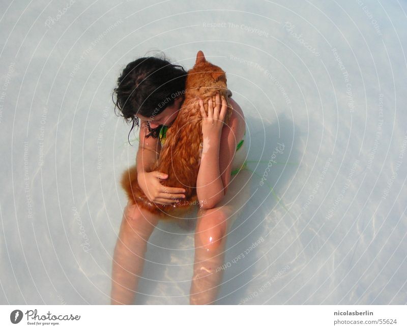 mit Katzen badet man nicht Mädchen Kind Schwimmbad Physik Peru leo Wasser Wärme