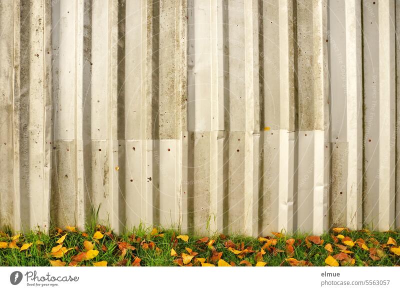 Wellblechwand mit Wiese und buntem Herbstlaub Welchblechwand Wand Abgrenzung Laub Flickkram Blog herbstlich Herbstfärbung Blätter Herbststimmung Herbstsaison