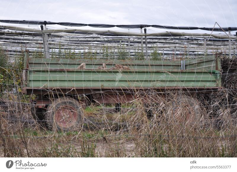 abgehängt | großer Traktor-Anhänger steht abgestellt zwischen Feldern eines Bauernhofs. Hänger Fahrzeug Landwirtschaft Transport Güterverkehr & Logistik