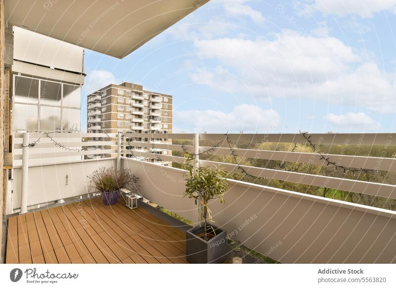Pflanzen auf dem Balkon gegen den Himmel frisch eingetopft wachsend hölzern Stock weiß Reling Appartement Cloud Natur Zimmerpflanze Holz Haus Gebäude