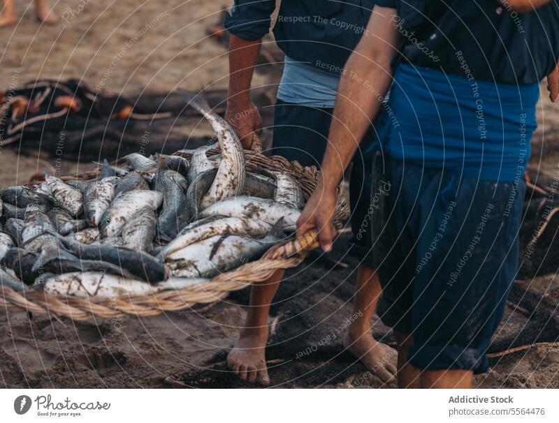 Unbekannte barfüßige Fischer wachen mit einem Korb voller Fische am Strand auf Spaziergang Meeresufer führen Natur Ufer Sand männlich Haufen Barfuß Küste