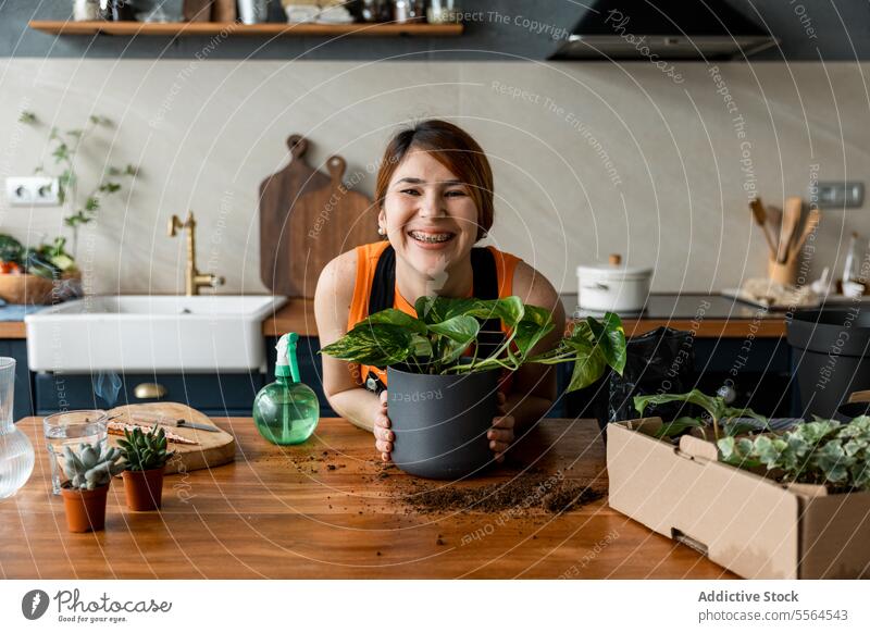 Fröhliche junge Frau hält Topf mit grüner Pflanze bei der Gartenarbeit zu Hause Gärtner Schürze Oberfläche Kasten Lächeln stehen anlehnen hölzern Glück Arbeit