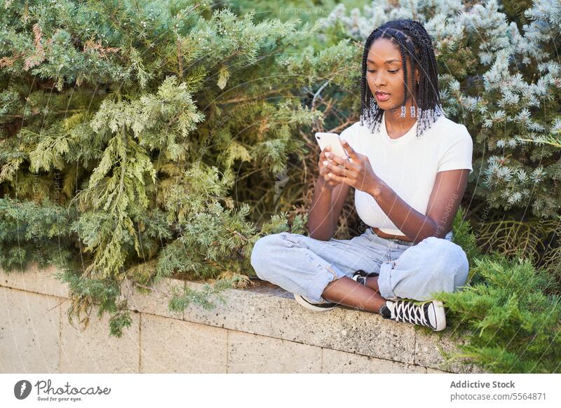 Glückliche afroamerikanische Frau beim Surfen auf dem Smartphone Browsen Park Lächeln Telefon Mobile benutzend Gerät Baum Funktelefon Moment Inhalt Buchse
