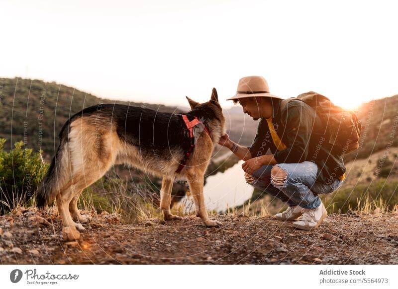 Hund mit seinem Besitzer in freier Wildbahn Mann Training loyal Deutscher Schäferhund Leckerbissen Tier männlich Freund gehorsam sonnig Sonnenlicht Natur