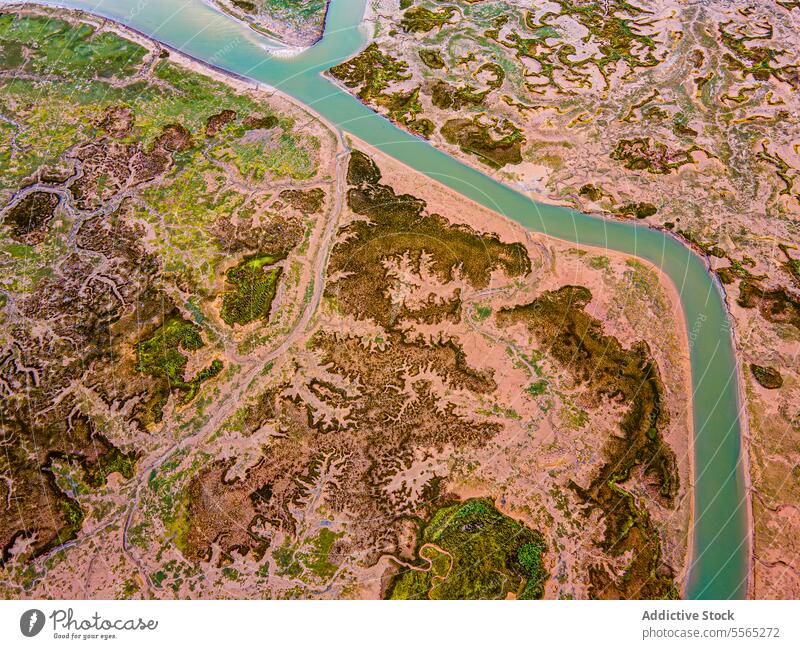 Luftaufnahme der verschlungenen Wasserwege im Sumpfgebiet Antenne Wasserstraße grün Vegetation Dröhnen Landschaft Natur Feuchtgebiet Gelände Fleck Muster Fluss