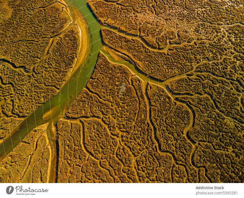 Goldenes Sonnenlicht beleuchtet den sich windenden Sumpffluss Antenne Sumpfgebiet Fluss golden Muster kompliziert Natur Landschaft Wasserstraße Dröhnen Ansicht