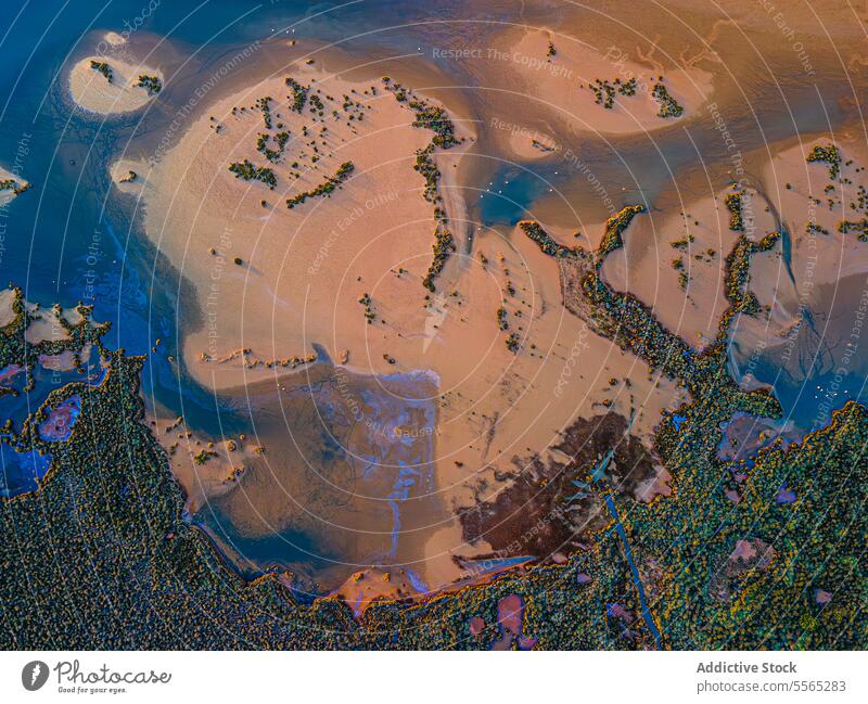 Lebendiges Sumpfgebiet aus der Vogelperspektive aufgenommen Antenne Wasser Textur Muster Farbe Land Dröhnen Ansicht Natur Landschaft Feuchtgebiet Ökosystem Erde