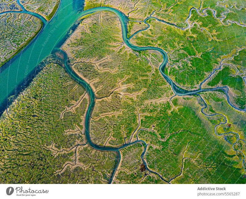 Blaue Flusskanäle durchqueren ausgedehnte grüne Sümpfe Overhead einfangen blau Kanal Sumpf Natur Komplexität Dröhnen Wasser Land Irrfahrt Feuchtgebiet Flora
