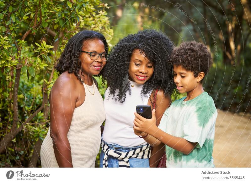 Moment im Freien mit der Familie und Blick auf das Smartphone Frau Junge Engagement Interaktion Park Bank Baum Bonden Zusammengehörigkeitsgefühl Teilen