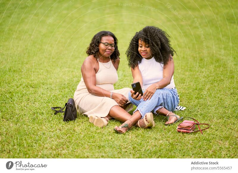 Freunde teilen Momente im Park grün Natur schwarz im Freien Sommer Afrikanisch Gras Frauen Handy sonnig Tag Freundschaft Erholung Sitzen lachen Bonden Geldbörse