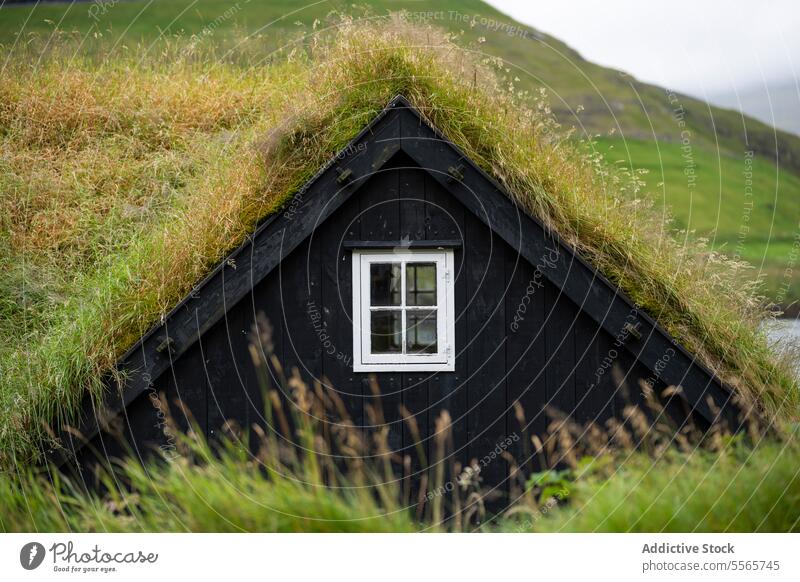 Wohnhaus in grüner Landschaft Haus grasbewachsen Gebäude Dorf Insel Natur Ausflug reisen Autoreise Außenseite Färöer Inseln Roadtrip Färöer-Inseln Dänemark