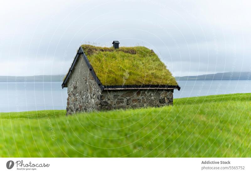 Einsames Haus auf grüner Wiese am Meer Insel Dorf Landschaft Küste Natur grasbewachsen Cottage Ausflug reisen Autoreise Färöer Inseln Roadtrip Färöer-Inseln