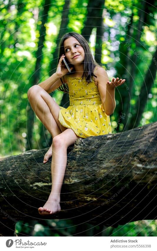 Mädchen im Teenageralter sitzt auf einem Baumstamm und spricht mit einem Mobiltelefon Wald Kofferraum Entdecker Pause Erholung Natur Abenteuer ruhig genießen