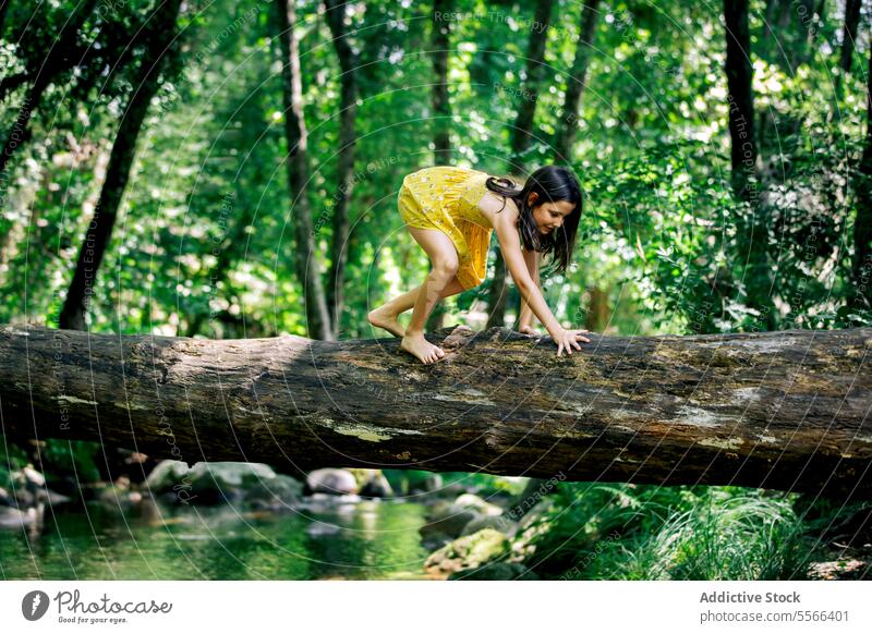 Lächelndes Mädchen, das sich auf allen Vieren auf einem Baumstamm in der Natur bewegt Wald Kofferraum Entdecker Erholung Abenteuer genießen friedlich Sommer