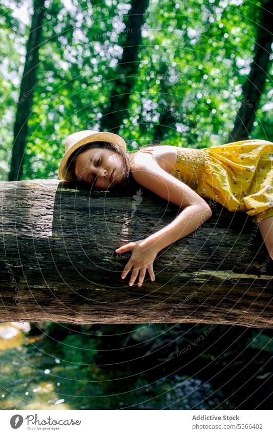 Preteen Mädchen auf Baumstamm in der Natur liegend Wald Kofferraum müde sich[Akk] entspannen Lügen Entdecker Pause Erholung Wälder Abenteuer ruhig genießen