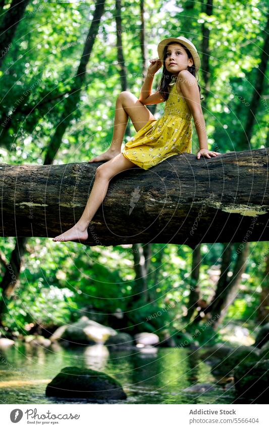 Preteen Mädchen sitzt auf Baumstamm in der Natur Wald Kofferraum sich[Akk] entspannen Entdecker Pause Erholung Abenteuer ruhig genießen friedlich Sommer