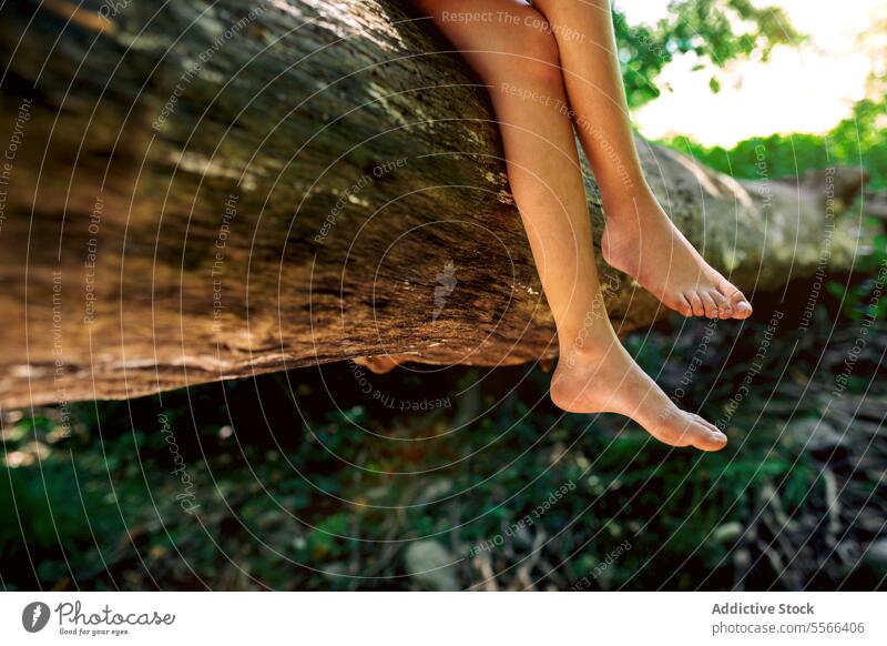 Crop preteen Mädchen mit gekreuzten Beinen und barfuß auf Baumstamm in der Natur Wald Kofferraum sich[Akk] entspannen Entdecker Pause Erholung Abenteuer ruhig