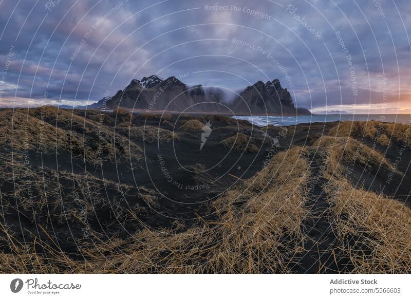 Stokksnes Sonnenuntergangspanorama in Islandia Panorama Landschaft Berge u. Gebirge Düne Gras schwarzer Sand Natur glühen Gelassenheit atemberaubend Weite