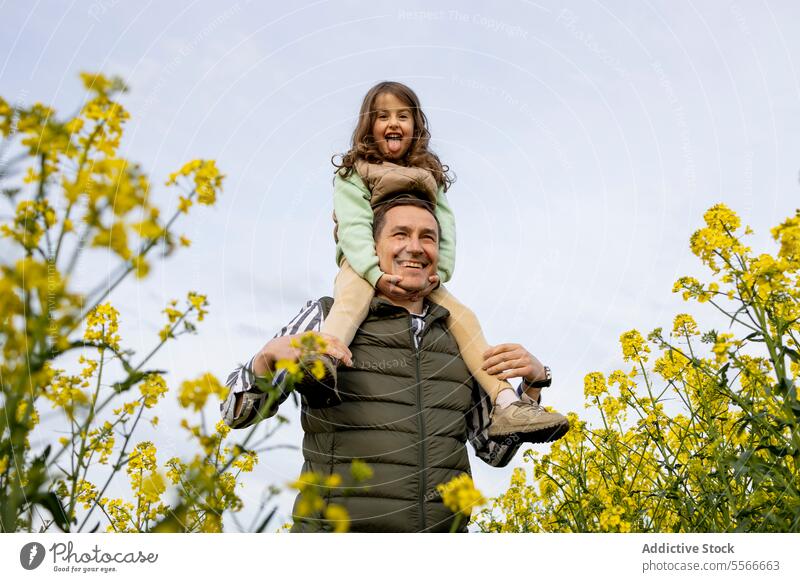 Fröhliche Momente von Vater und Tochter auf einer Blumenwiese. Schultern Lächeln Feld Freude Familie im Freien binden Fröhlichkeit Natur Frühling Anschluss Kind