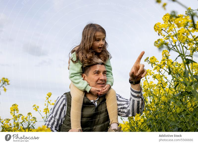 Ein Vater, der seiner kleinen Tochter die Wunder des Himmels zeigt. Zeigen Feld Blume binden Familie gelb Aufmerksamkeit Neugier Natur Eltern Kind Liebe