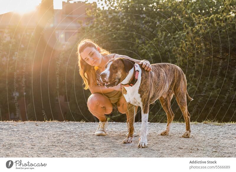 Junge Frau, die ihren Hund im Park bei Sonnenuntergang umarmt. amerikanisches Stanford jung heimisch Umarmung Lächeln Bäume hockend Bonden züchten Kaukasier