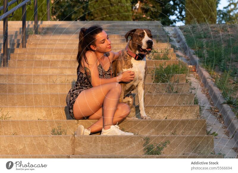Junge Frau und ihr gestromter Hund teilen einen Moment bei Sonnenuntergang auf einer Treppe im Park. amerikanisches Stanford heimisch Haustier Umarmung