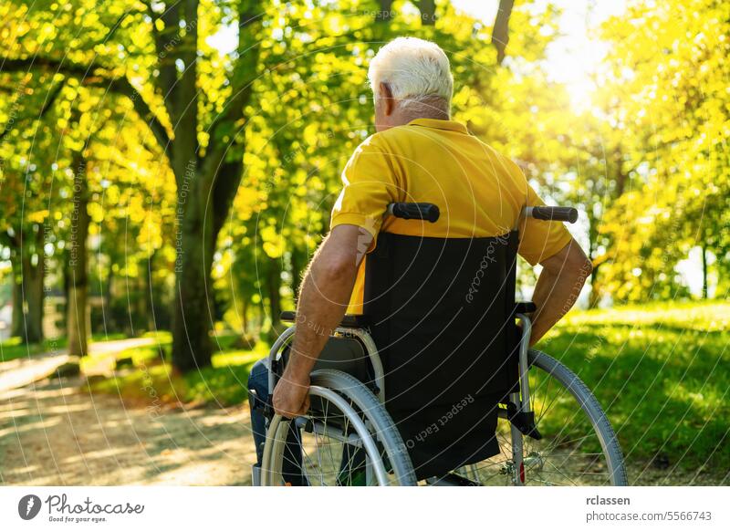 älterer behinderter Mann sitzt im Rollstuhl während Spaziergang im Park, reifer behinderter alter Mann Großvater in Invalidenwagen oder Rollstuhl, ältere Behinderung Konzeptbild