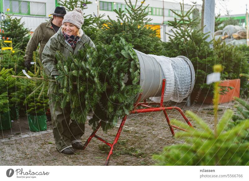 Verkäuferin, die auf einem Straßenmarkt einen gefällten und in ein Plastiknetz verpackten Weihnachtsbaum einwickelt Kunststoff kaufen Hilfsbereitschaft Kind