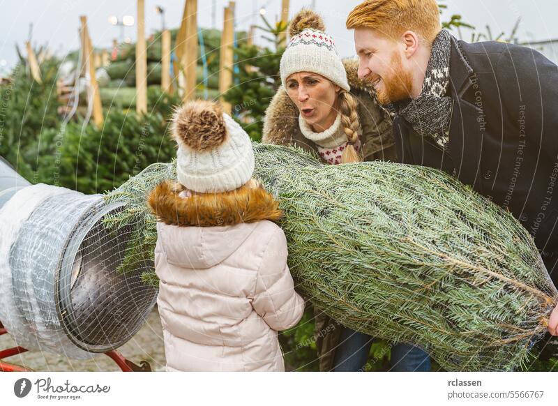 Glückliche Familie, die auf einem Weihnachtsmarkt einen gefällten, in ein Plastiknetz verpackten Weihnachtsbaum einwickelt Teamwork kaufen Hilfsbereitschaft