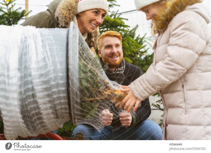 Tochter zieht einen gefällten Weihnachtsbaum, der auf einem Straßenmarkt in ein Plastiknetz verpackt wurde Teamwork kaufen Hilfsbereitschaft Kind