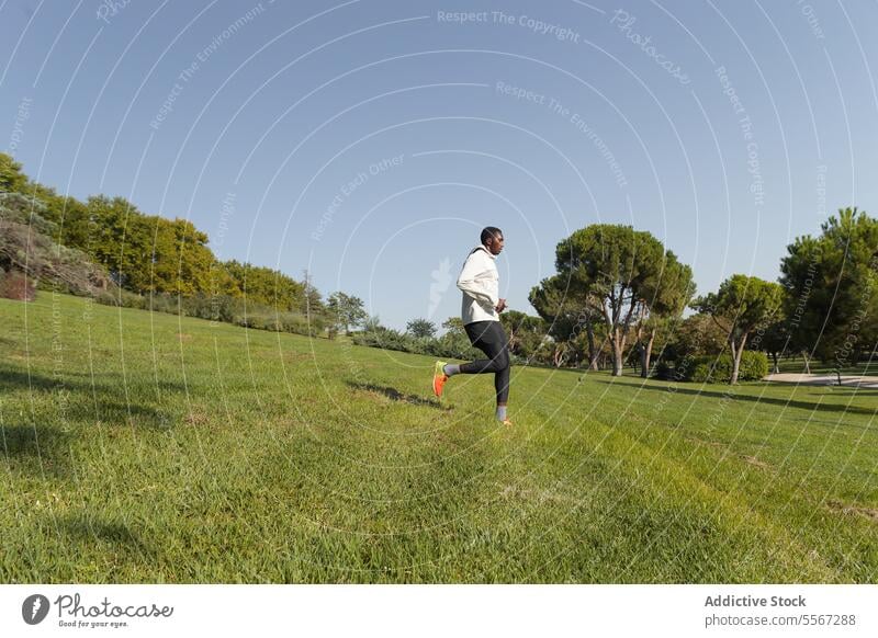 Mann im Park beim Laufen Joggen Baum Himmel blau im Freien Sport aktiv Lifestyle Gras Weg laufen Fitness Gesundheit Übung Morgen Athlet Sprint malerisch