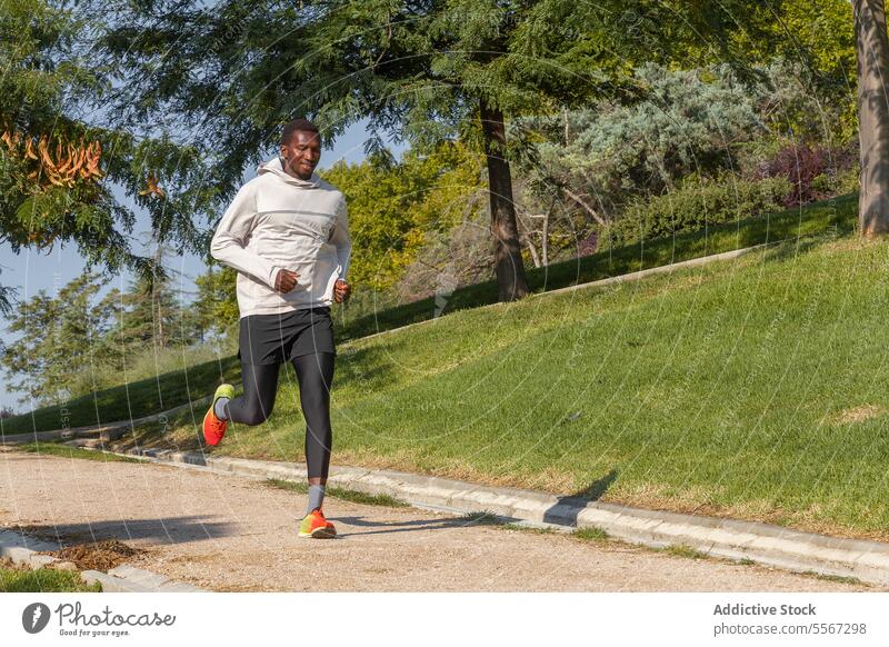 Mann im Park beim Laufen Joggen Baum Himmel blau im Freien Sport aktiv Lifestyle Gras Weg laufen Fitness Gesundheit Übung Morgen Athlet Sprint malerisch