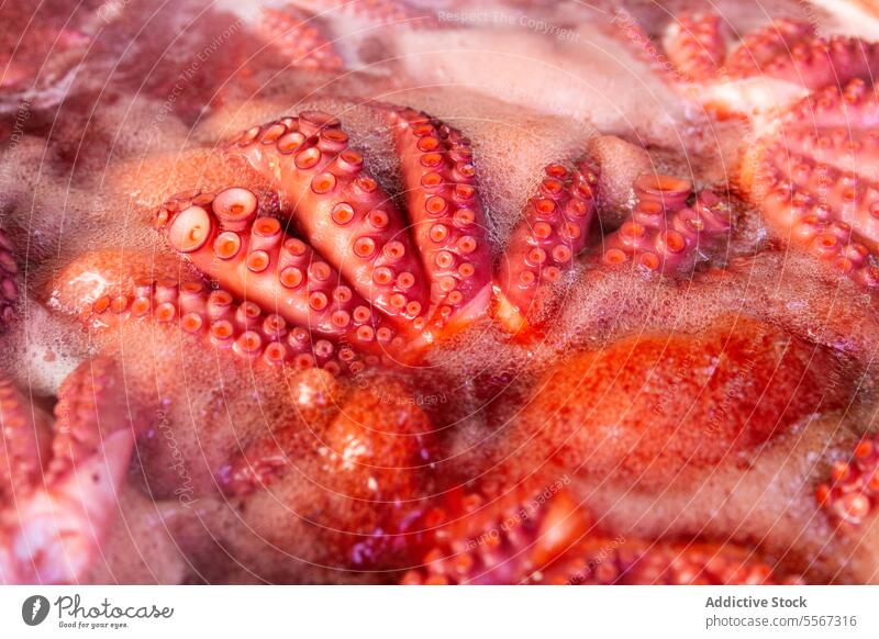 Oktopus-Tentakel-Details in roter Brühe Octopus Makro Saugnapf liquide Muster Textur marin Meeresfrüchte Detailaufnahme Nahaufnahme pulsierend kulinarisch
