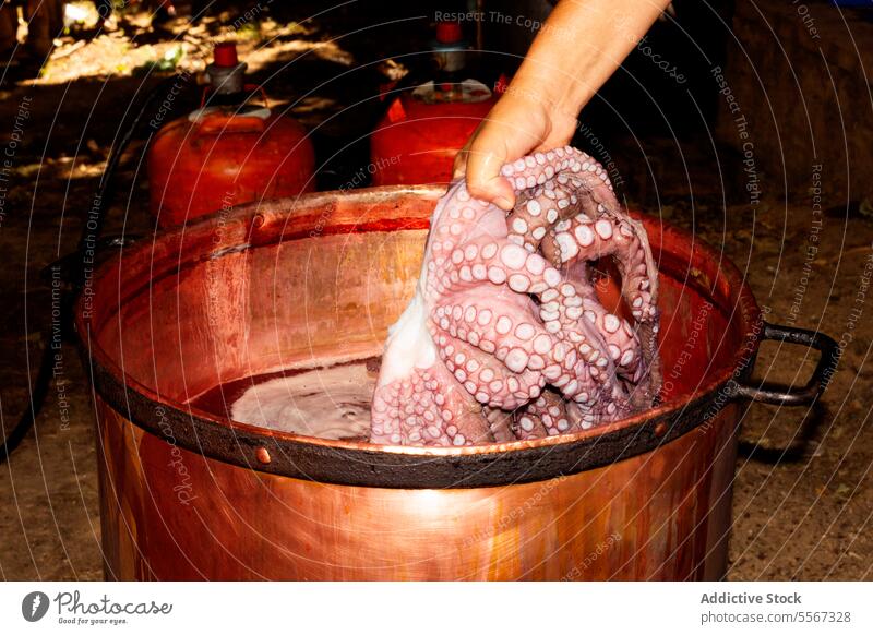 Gekochter Oktopus von Hand gehoben Octopus kochen kupfer Topf Tentakel Meeresfrüchte kulinarisch Delikatesse im Freien rustikal Gas Kanister Nahaufnahme Textur