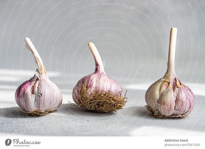 Detailaufnahme von Knoblauchzwiebeln Knolle Nahaufnahme Textur grau Hintergrund purpur Wurzel natürlich Lebensmittel Bestandteil frisch organisch Gesundheit