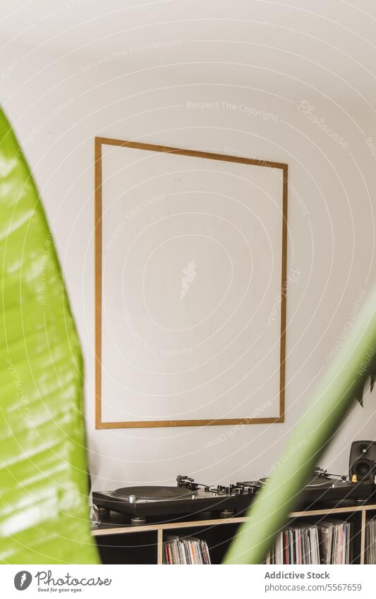 Haus dekoriert mit einem Rahmen und einem alten Plattenspieler Plattenteller Blatt leer weiß Wand vinly Spieler Aufzeichnen modern heimwärts Musik Dekor Pflanze