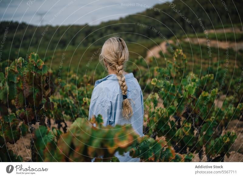 Blonde Frau steht inmitten von Weinreben auf einem Bauernhof Winzer Landwirt blond geflochten stehen grün wachsen Weinberg Landschaft Natur ruhig üppig (Wuchs)