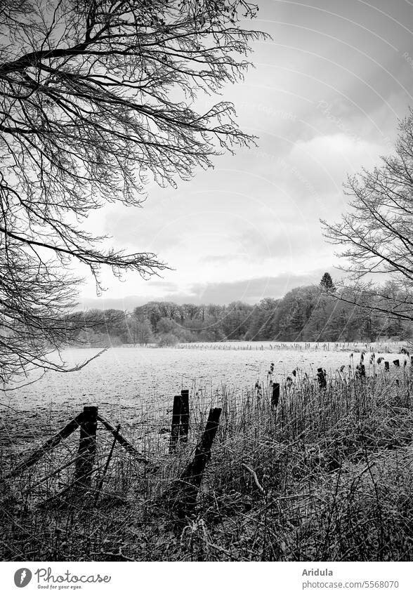 winterliche Landschaft in s/w Winter Weide Zaun Bäume ländlich Zaunpfahl Zweige Gräser Schnee Frost kalt Wolken Natur Himmel weiß