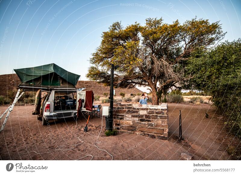 lebe lieber ungewöhnlich | auf reisen Natur Landschaft Einsamkeit Wärme Baum besonders Abenteuer Ferien & Urlaub & Reisen Afrika Namibia Fernweh jeep Zelt